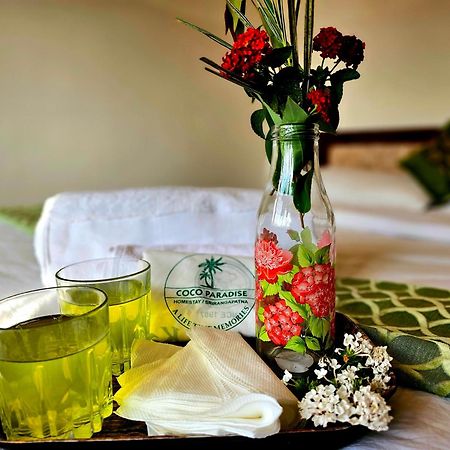 Coco Paradise Homestay Shrīrangapattana Εξωτερικό φωτογραφία